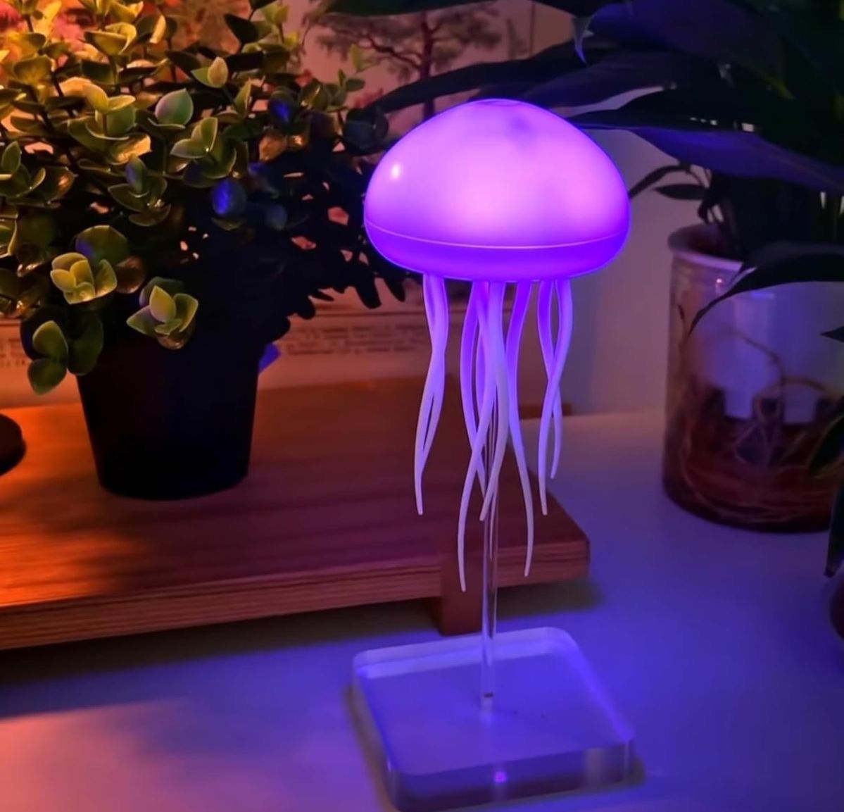 Jellyfish Night Light