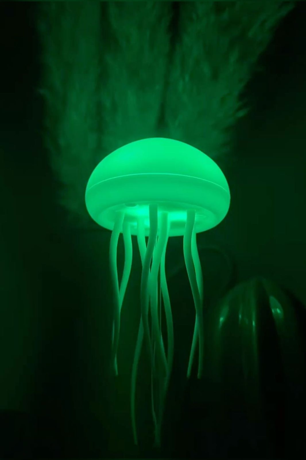 Jellyfish Night Light